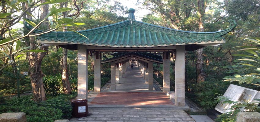 Donghu Park Shenzhen Tour Packages